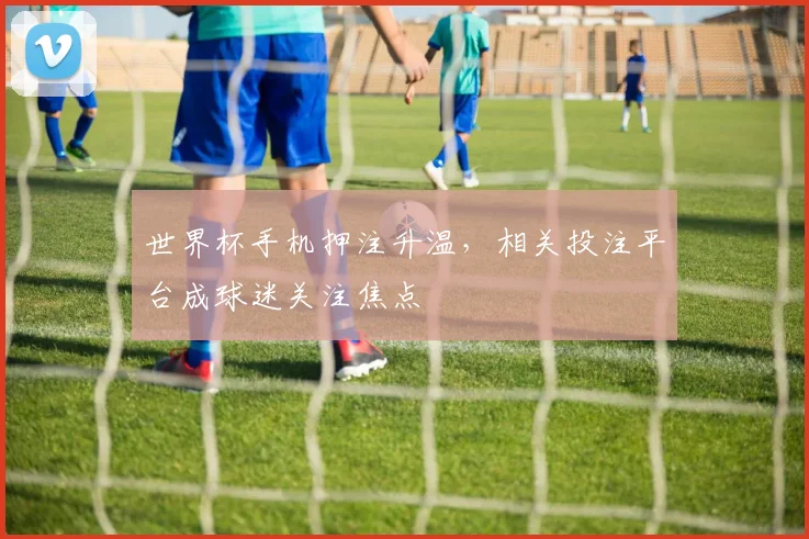 世界杯手机押注升温，相关投注平台成球迷关注焦点